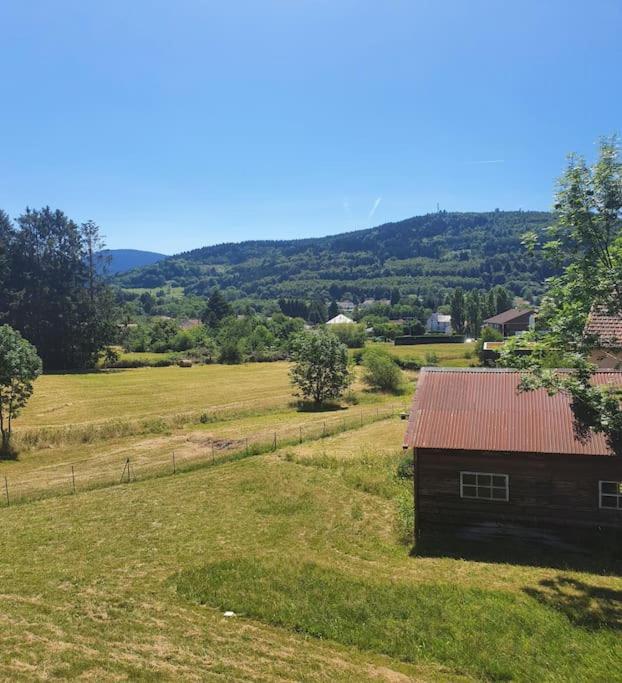 Chalet Les Boudieres 6 Pers Pres Gerardmer Cosy Billard Fraize Eksteriør bilde
